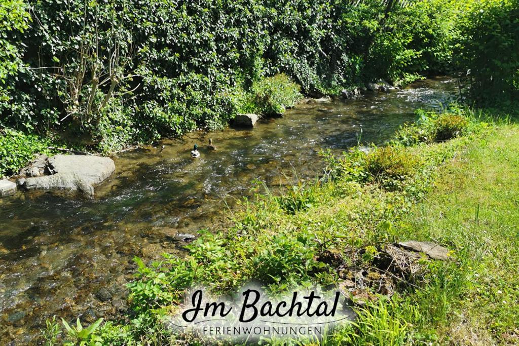 Pommern Ferienwohnung Im Bachtal מראה חיצוני תמונה
