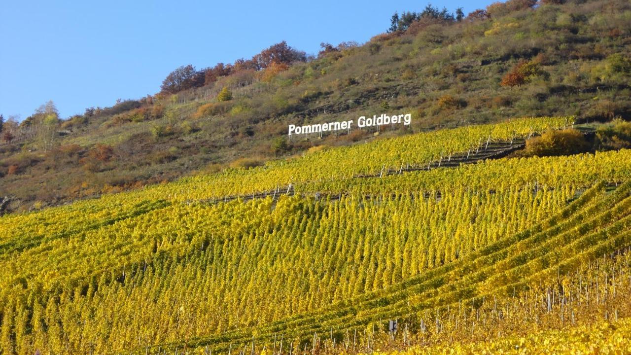 Pommern Ferienwohnung Im Bachtal מראה חיצוני תמונה
